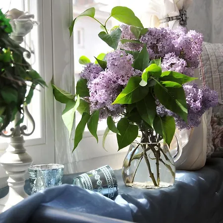 ゲストハウス Altstadt Moench Unser Kleinod In Lage Direkt In Der Altstadt Incl Fruehstueck